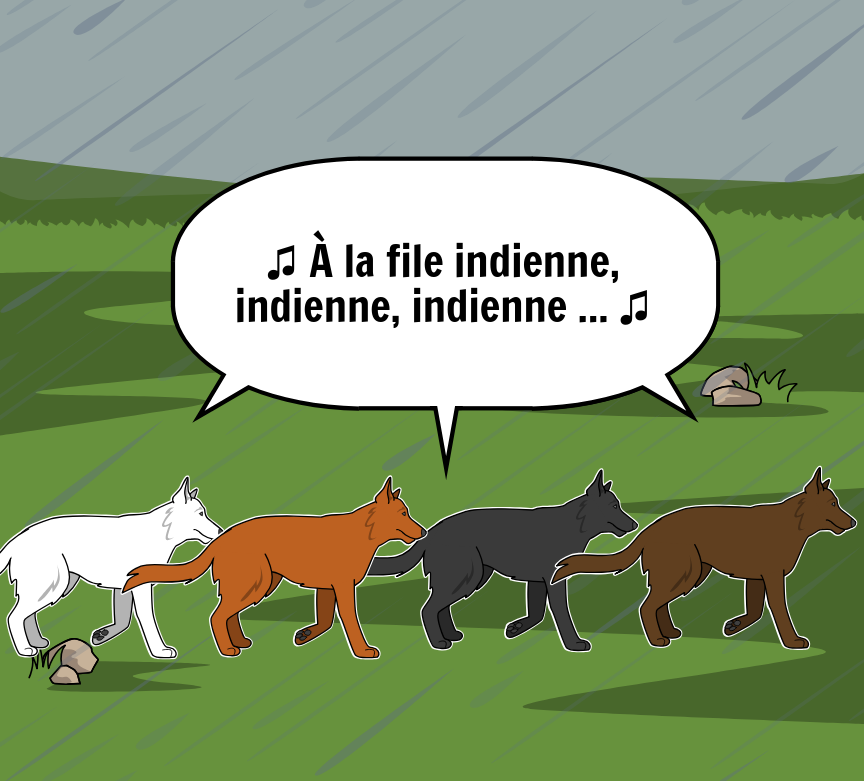 BD Amaroks - L'orage - Case 29