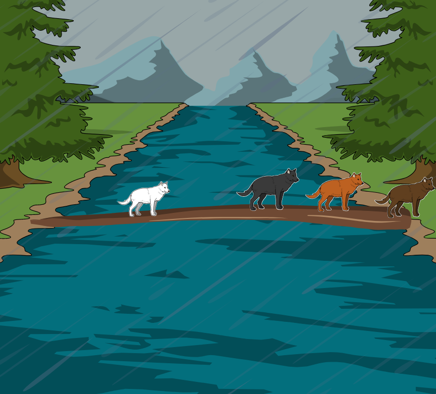 BD Amaroks - L'orage - Case 32