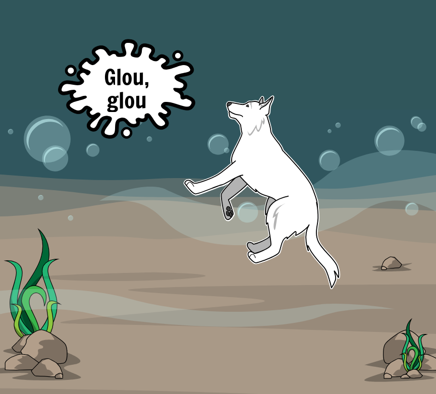 BD Amaroks - L'orage - Case 40